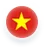 flag-vn-icon